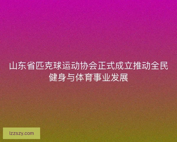 山东省匹克球运动协会正式成立推动全民健身与体育事业发展