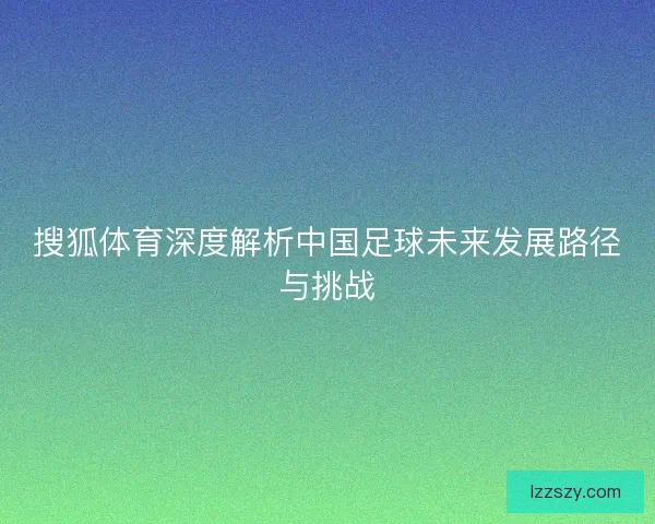 搜狐体育深度解析中国足球未来发展路径与挑战 搜狐体育深度解析中国足球未来发展路径与挑战